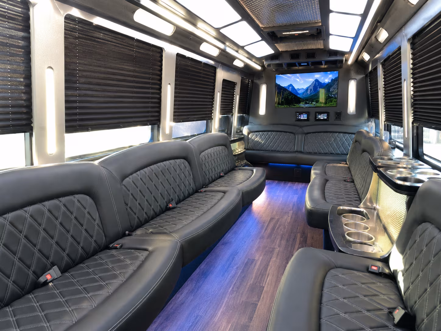 birthday party bus rental
